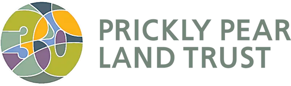 ppp
